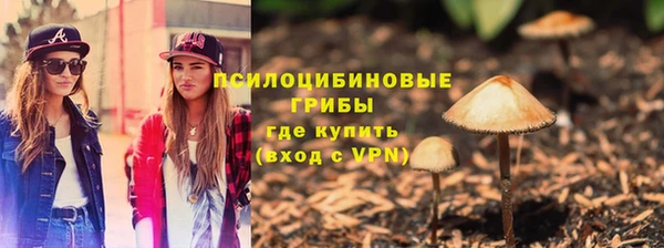 бошки Богородск